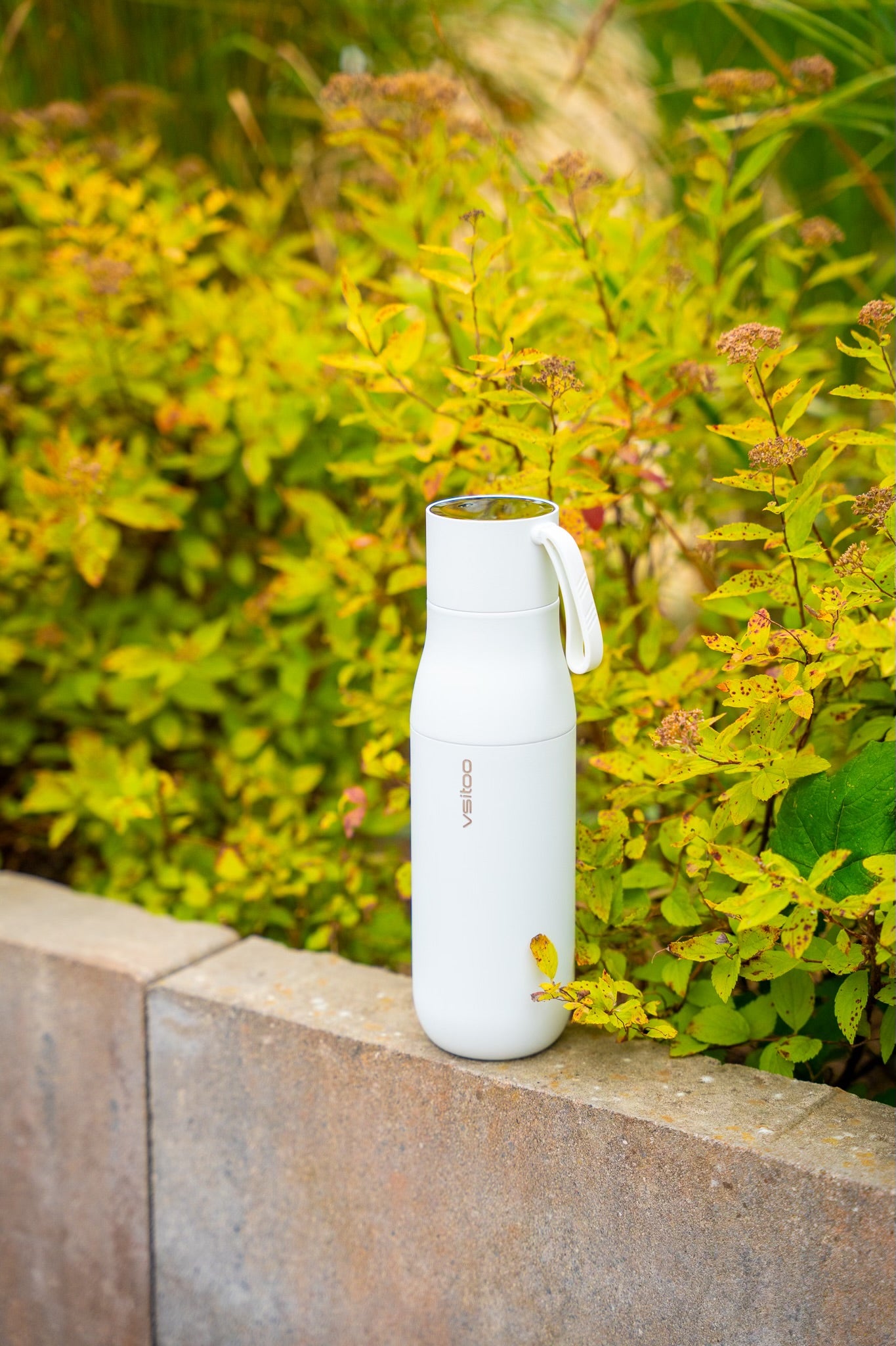 Livebottle